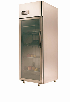 _ 425L Energy Efficient Refrigerators With Compressors / One Glass Door