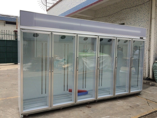 _ Free Standing Glass Door Refrigerator Showcase Cold Storage Chamber