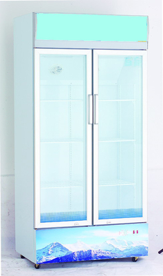 _ Manual Large Double Door Commercial Refrigerator Freezer  R134a / 125g , 430 L